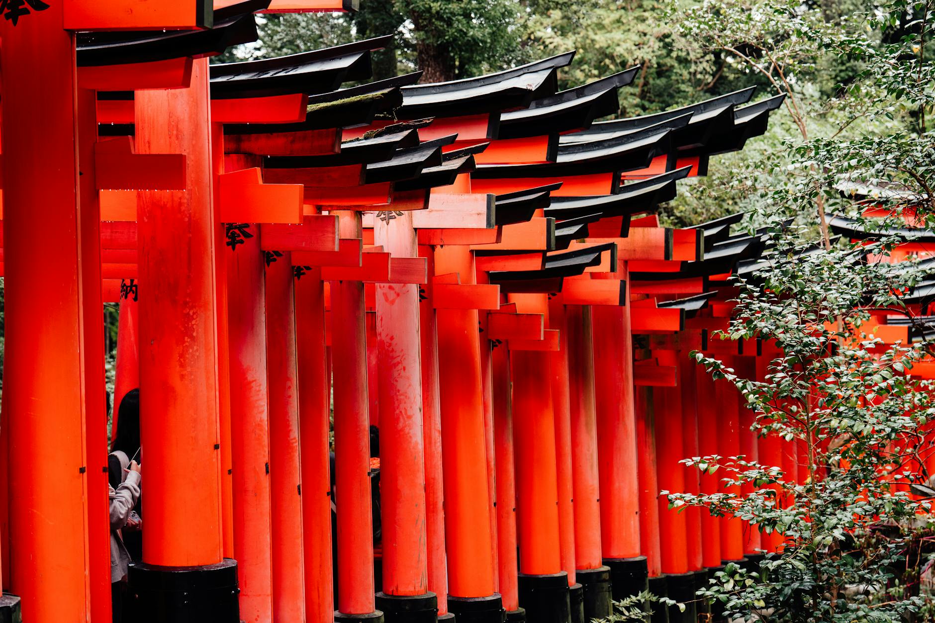 Kyoto & Osaka Cultural Discovery - 6 Days holiday gallery photo 1