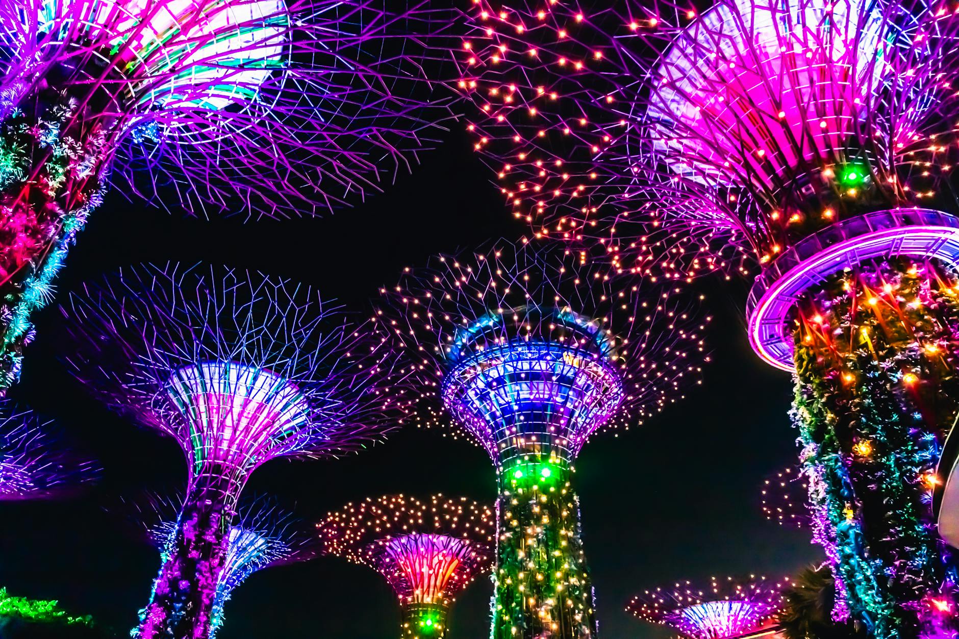 Theme park and city activity passes in Singapore