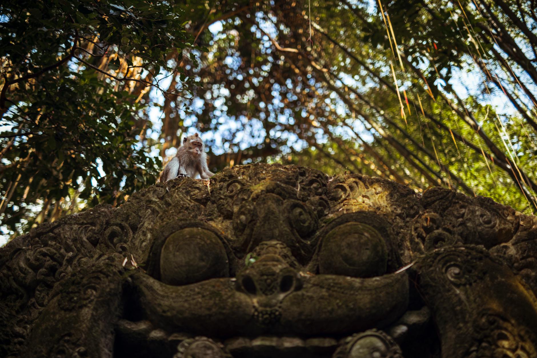 Bali Honeymoon Retreat - 6 Days holiday gallery photo 3